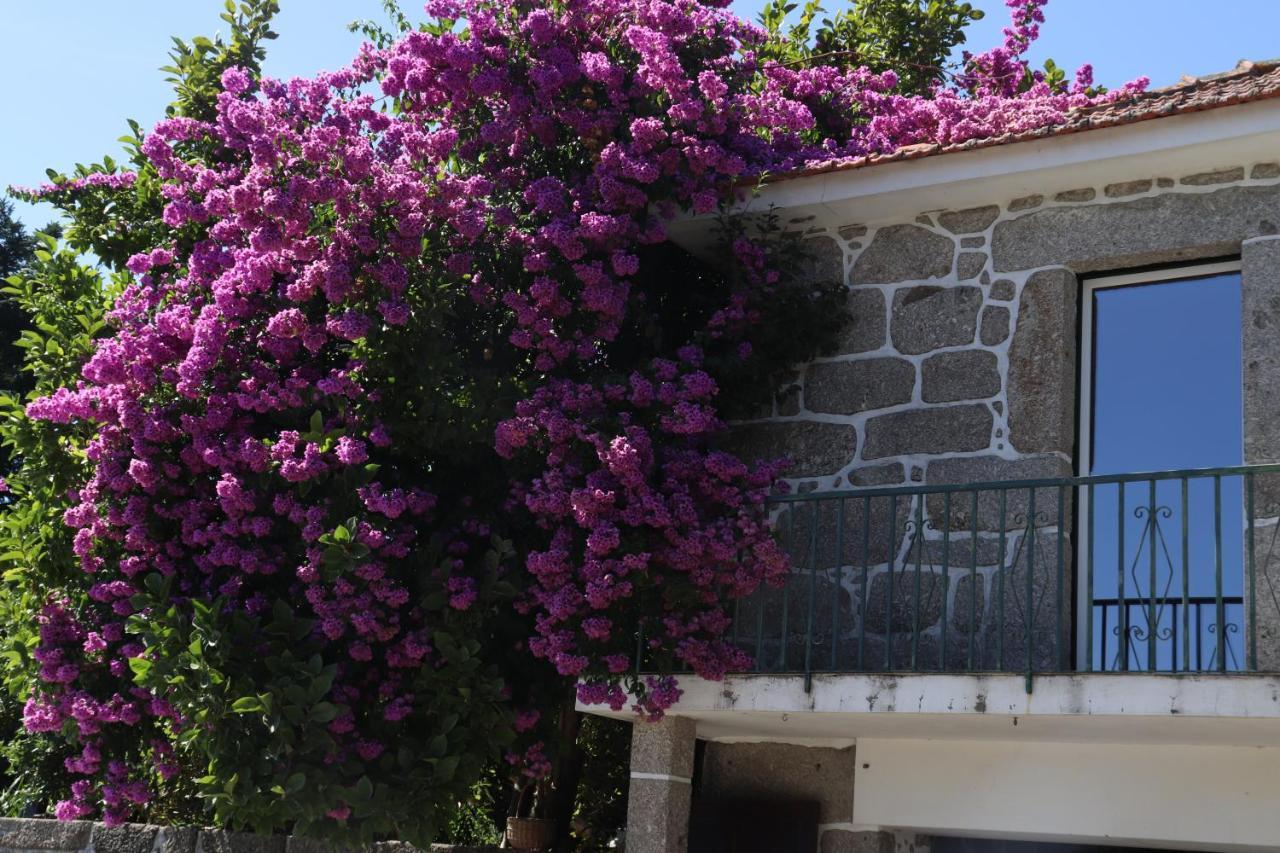 Ich Inveja Country House Pacos de Ferreira Exterior foto